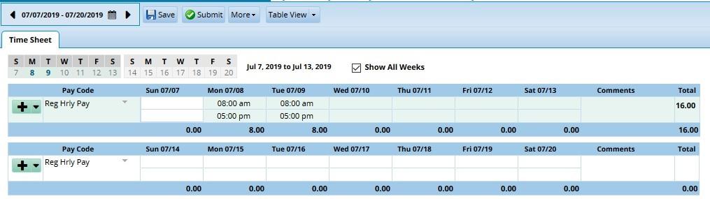 New Workforece Timesheet