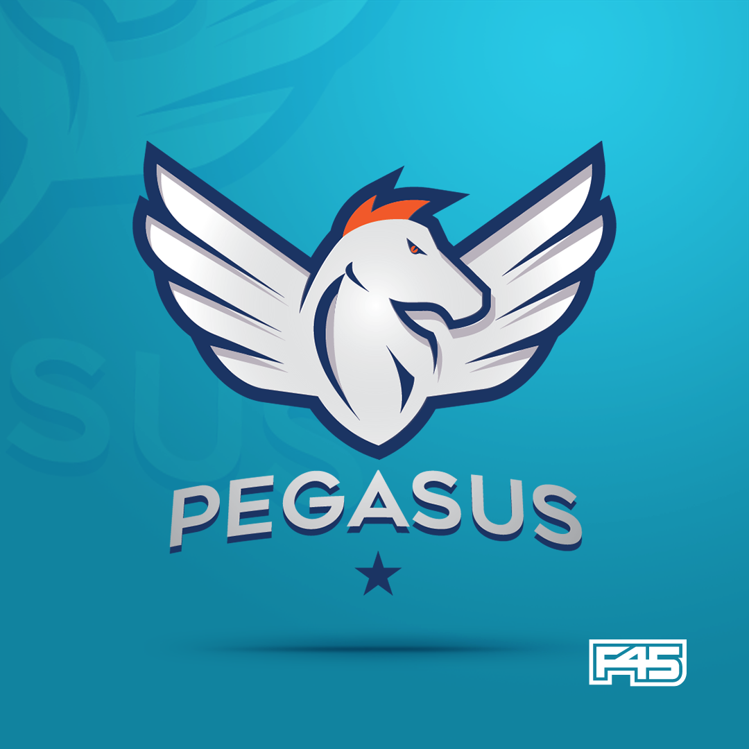 Pegasus 