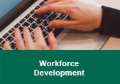 Workforce Development