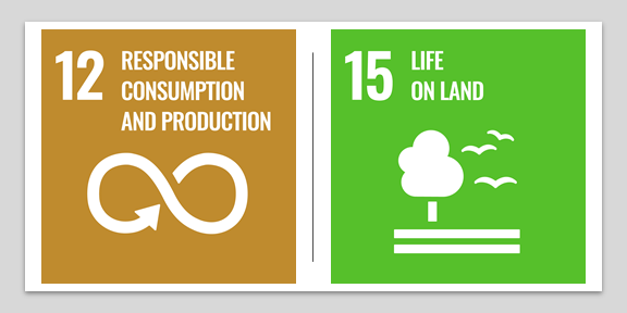 Grounds-related SDG icons