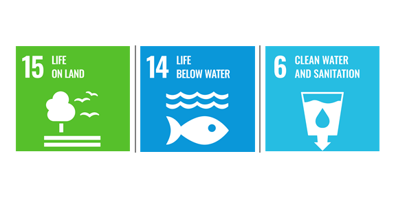 SDG icons 6, 14 and 15