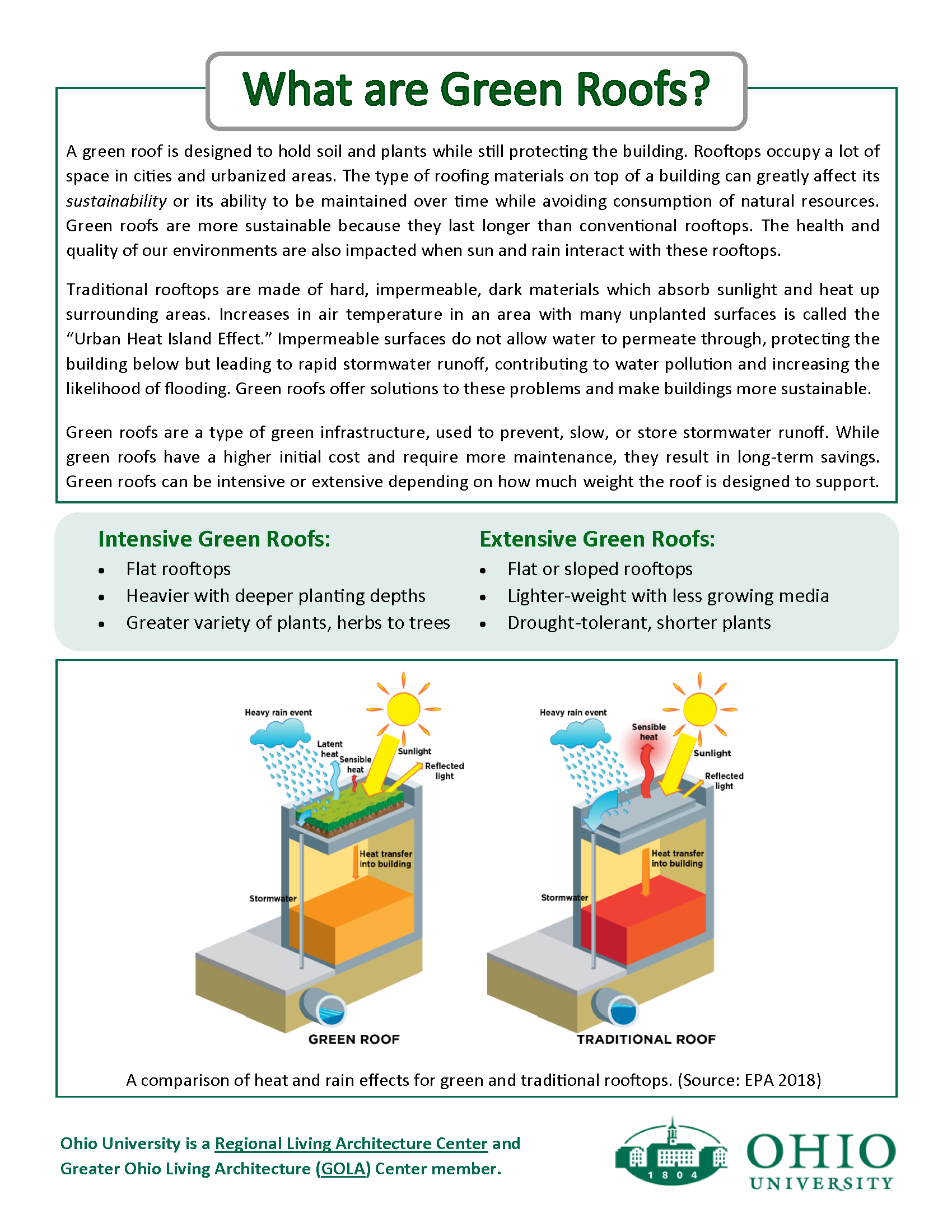 image of a flyer on green roofs p 1