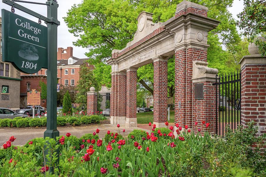 Bobcat Family Tree Challenge | Ohio University