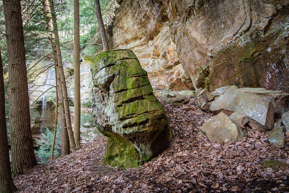 Large sandstone formations in the Crane Hollow Nature Preserve are covered in moss