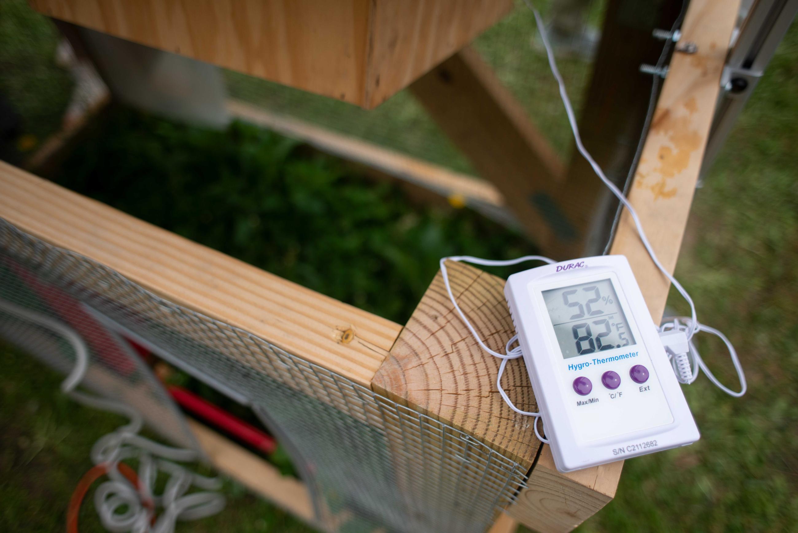 A thermometer sits on the edge of the green roof model.