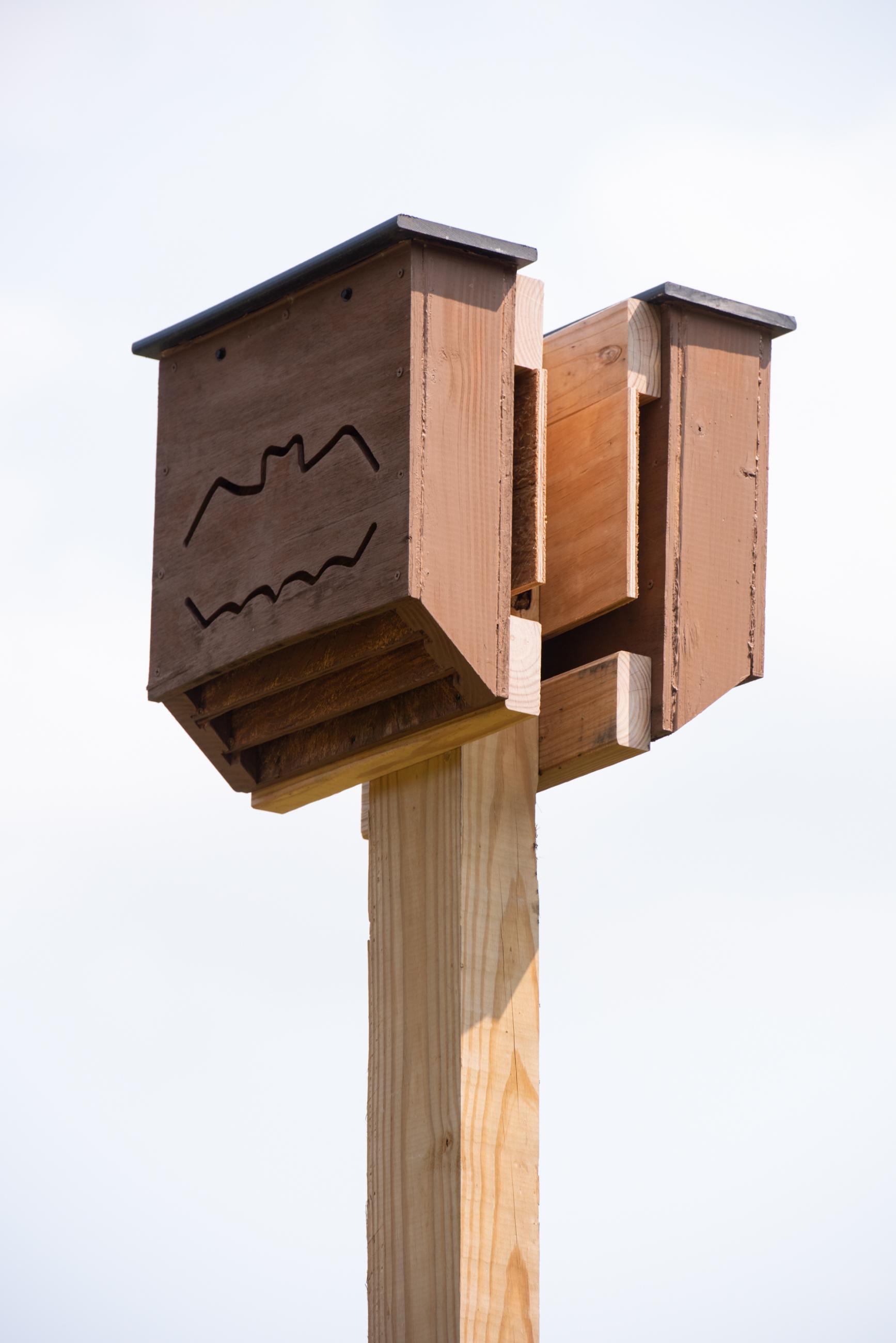 A bat house on a wooden post with the sky behind it.