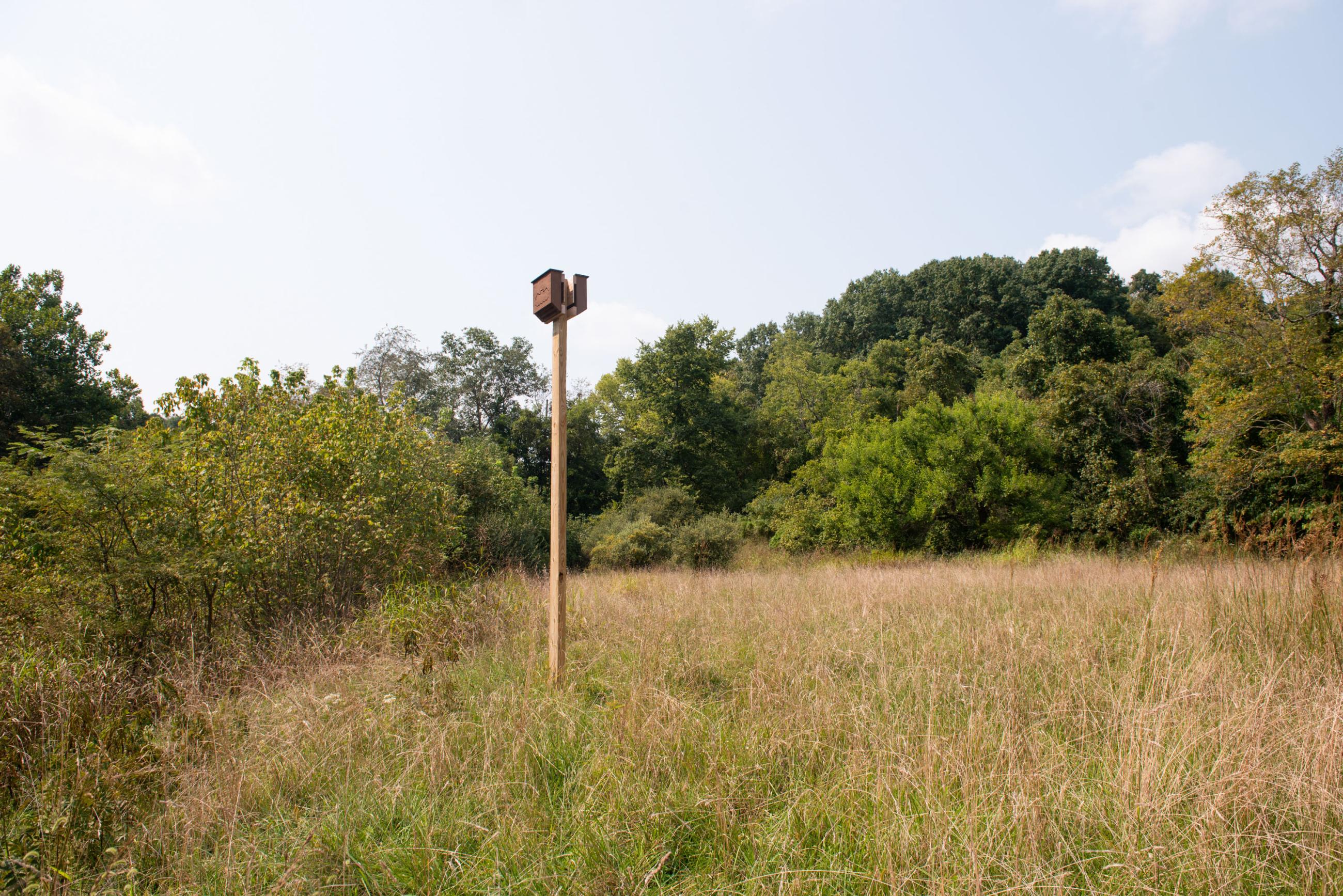 A bat house on a wooden post in a field.