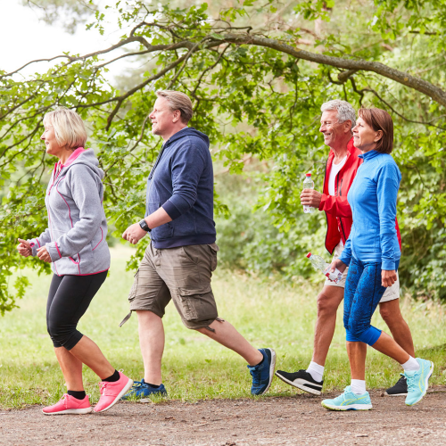 Group of adults walking