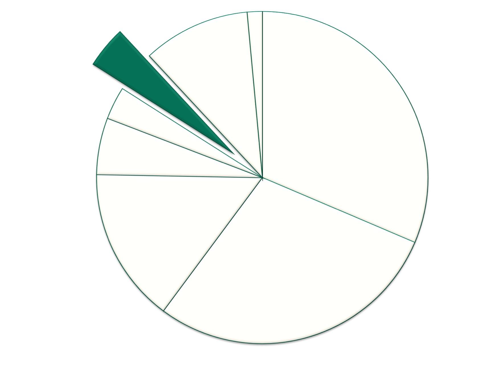 Pie Graph depicting 4%