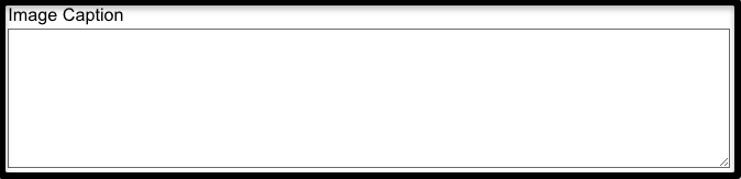 Add Optional Image Caption