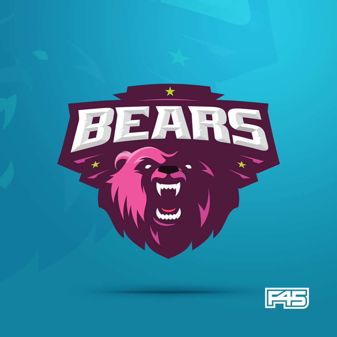 Bears Logo