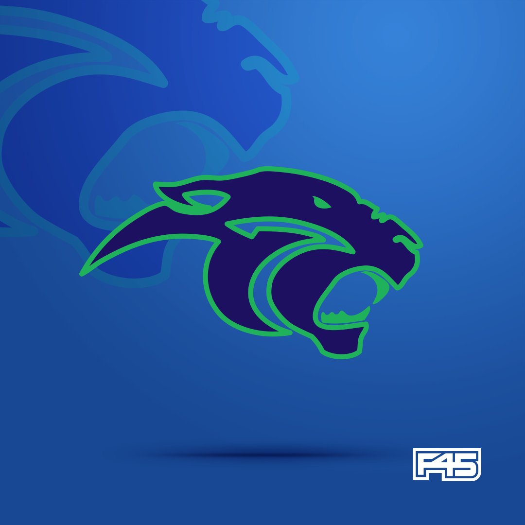 Panthers Logo