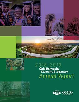 2018-19 D & I University Report
