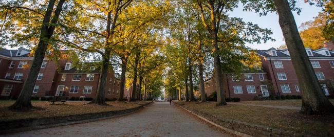 Hall Index | Ohio University