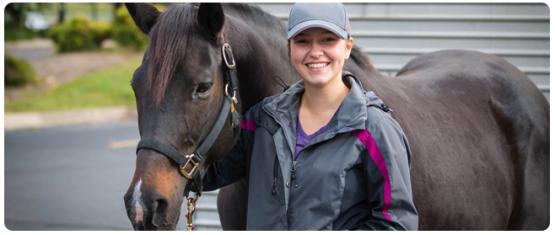 Equine Studies Ohio University Southern