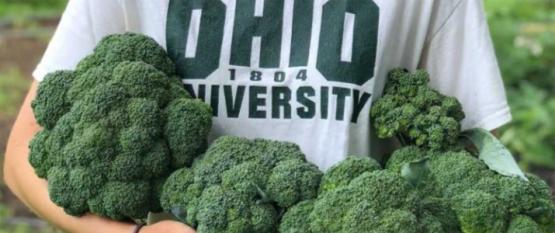 OHIO Student farm volunteer holds broccoli plants