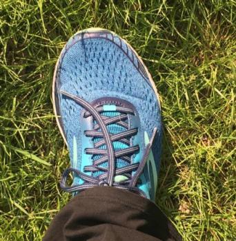 Picture of Shoe in grass