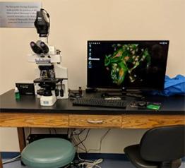 Widefield Fluorescence Microscope