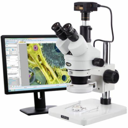 Stereo Microscope w/ Camera