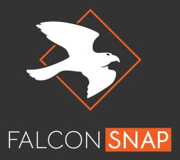 FalconSnap Logo