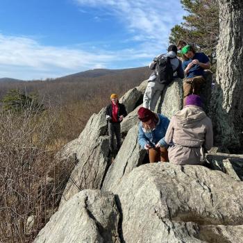 Students rock climbing