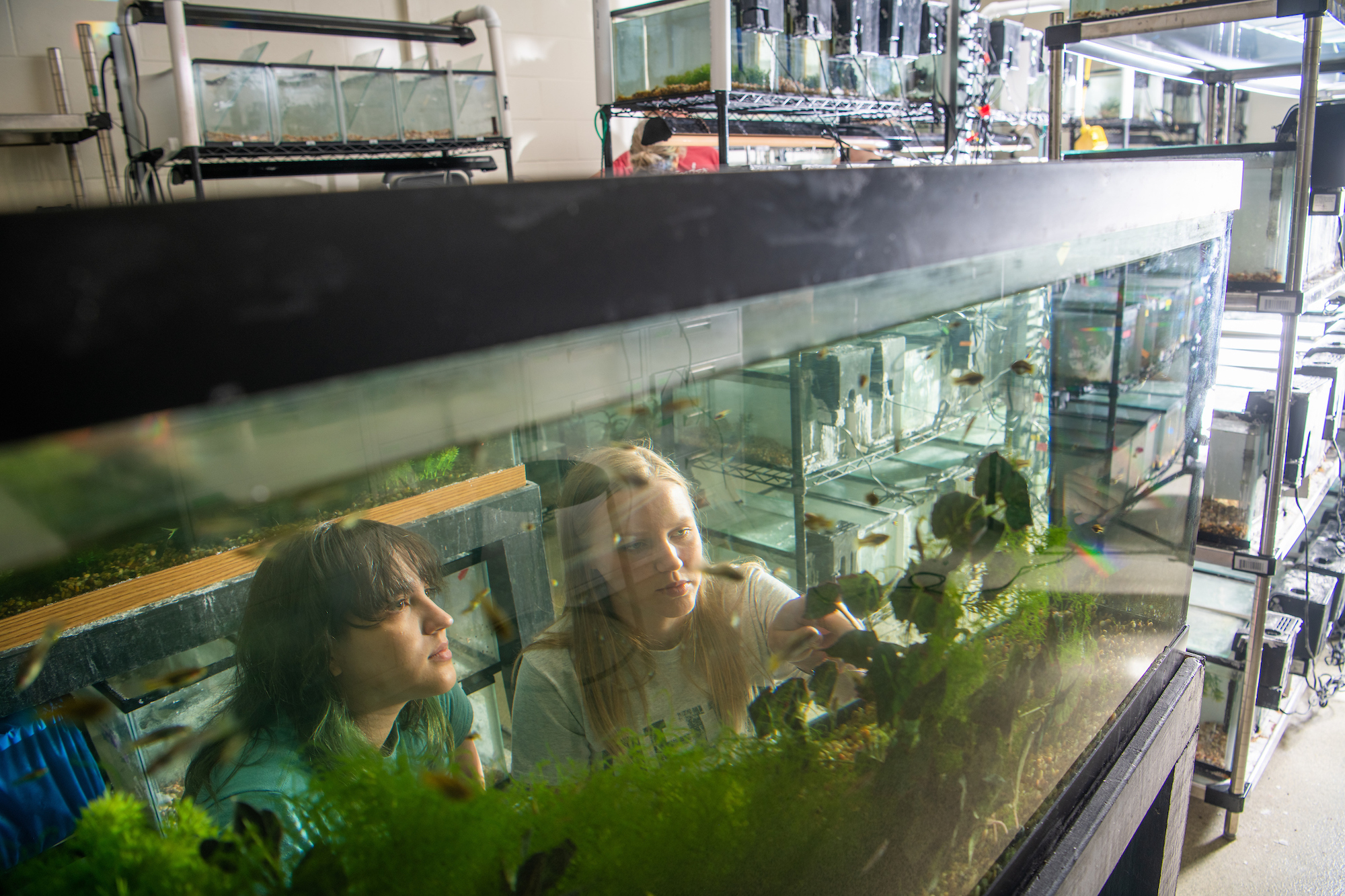 Students enjoy diving into freshwater fish biology research in the ...