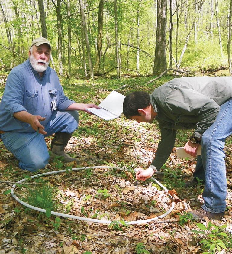 Two men in the forest are taking measurements on the ground and recording data