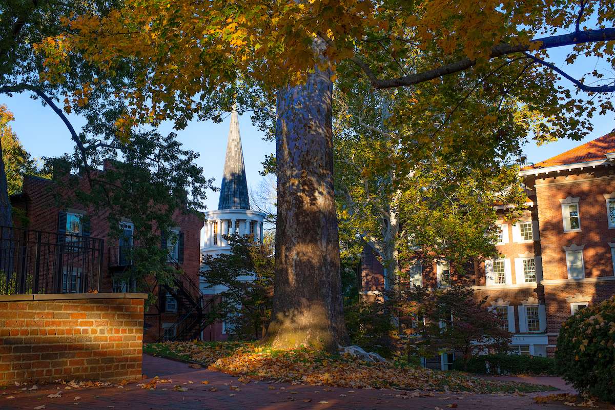 A section of College Green behind Ellis Hall with blazing fall foliage