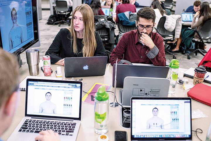 Medical students study anatomy on their computers