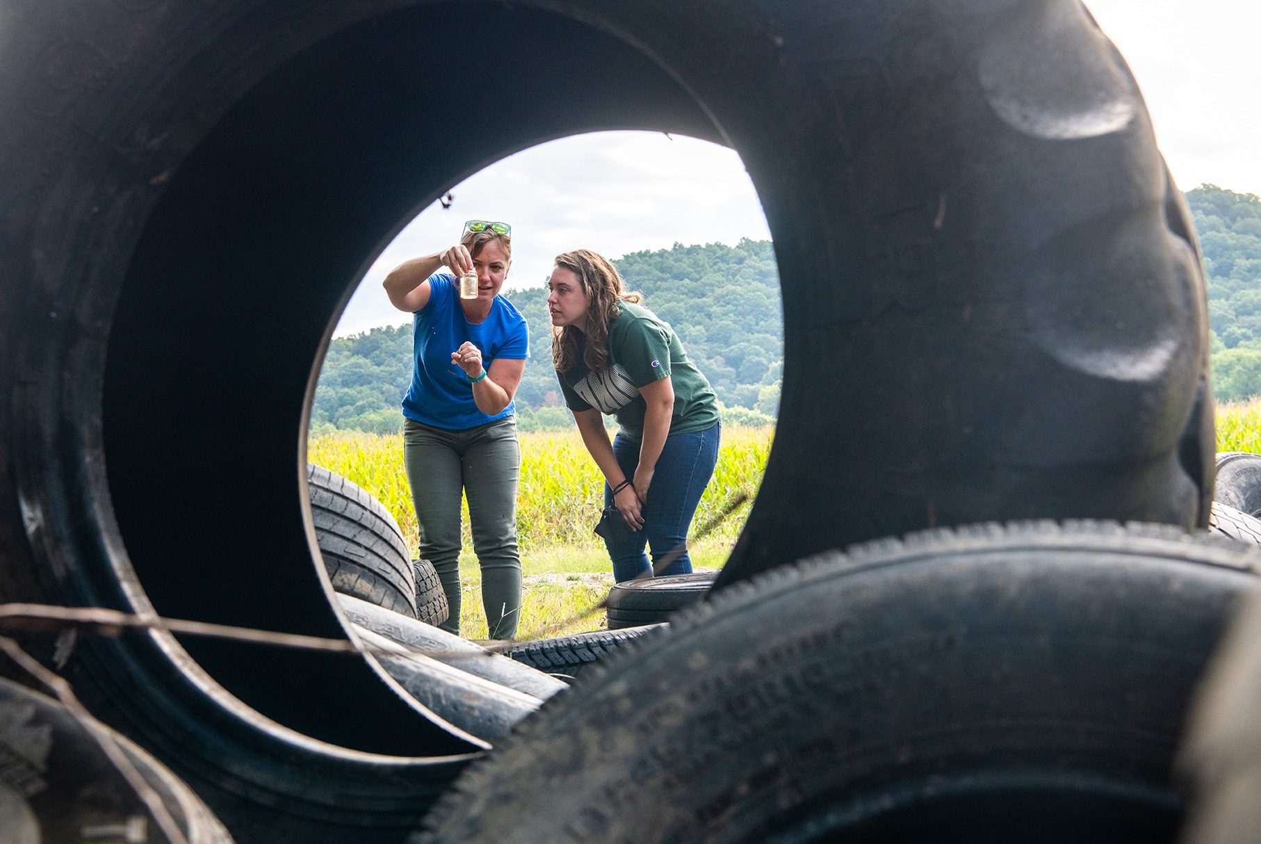 County site. Brodie brought Keiser, an aspiring statistician looking to broaden her studies from theoretical statistics to applied statistics, into her lab to develop models and predictions based on mosquito data.