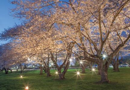 OHIO and Chubu celebrate the 50th anniversary of the partnership between the two institutions. Celebrations will occur at both institutions and friendship benches will be installed on both campuse