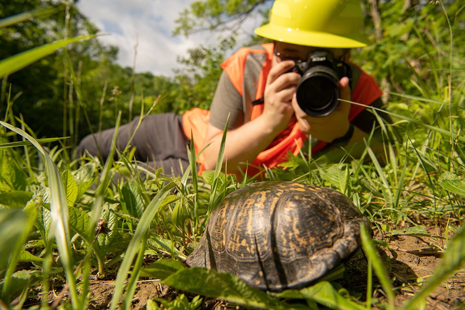 person photographing a turtle