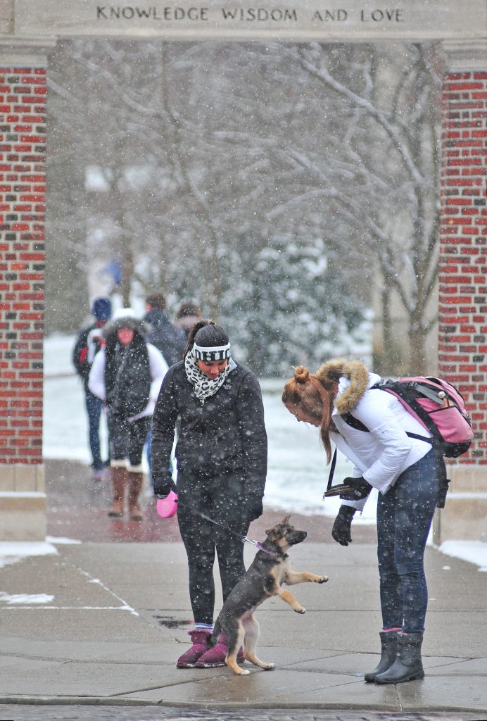 The Alumni Gateway incoming inscription as one enters College Green reads, “So enter that daily thou mayest grow in knowledge wisdom and love.” Perhaps puppies should be added to the list.