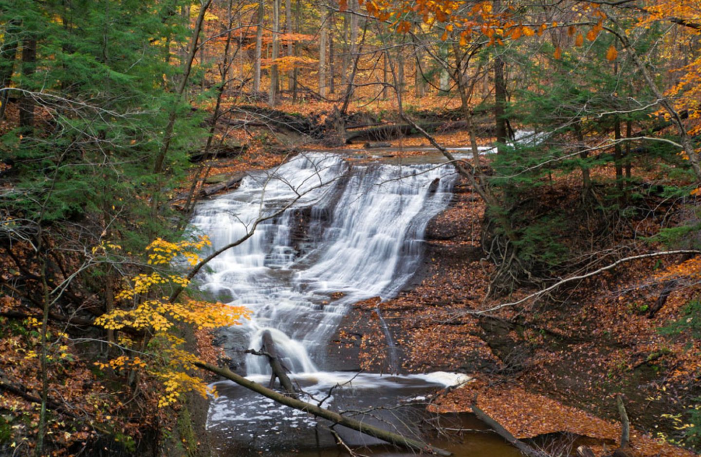Waterfall surrounded by trees with brightly colored fall leaves