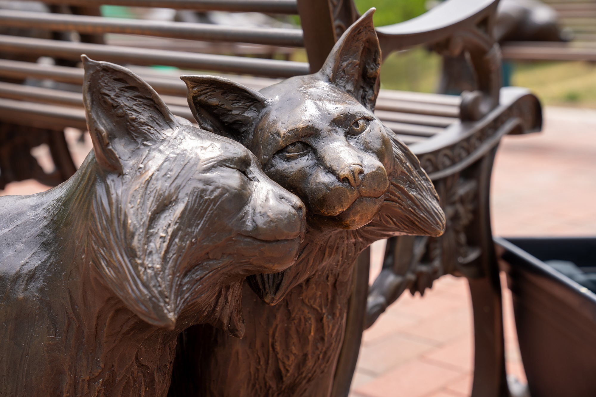 A photo of two of the Bobcat sculptures on the Bobcat Benches