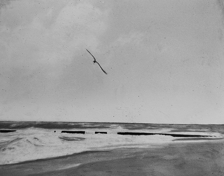 black and white photo of a gull flying over the shoreline at the beach