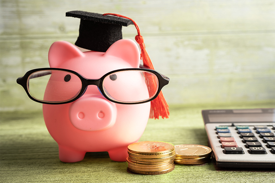 A piggy bank and gold coins sit next to a calculator in front of a green background