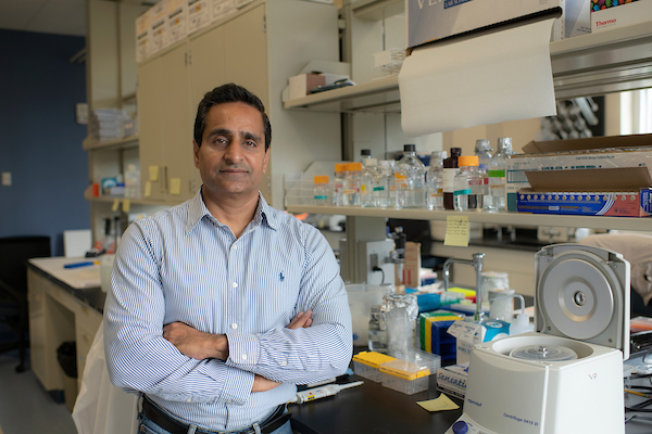 Dr. Vishwajeet Puri works in his lab at Ohio University