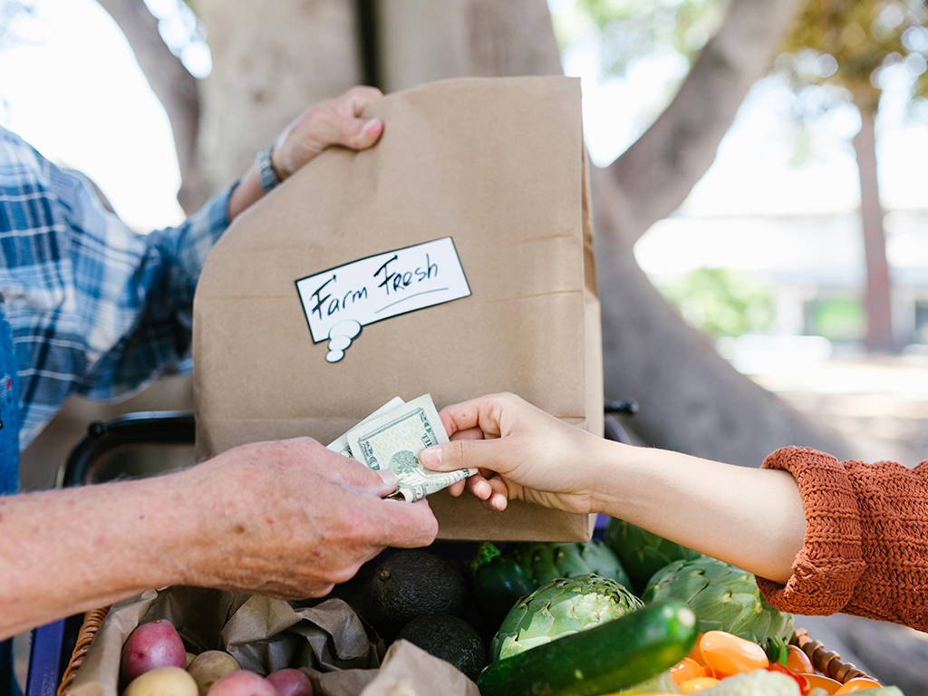 Two hands exchange money for groceries