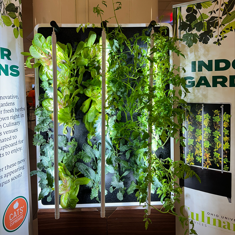 Informational signs from Culinary Services and Cats' Cupboard border the indoor garden at Nelson Court