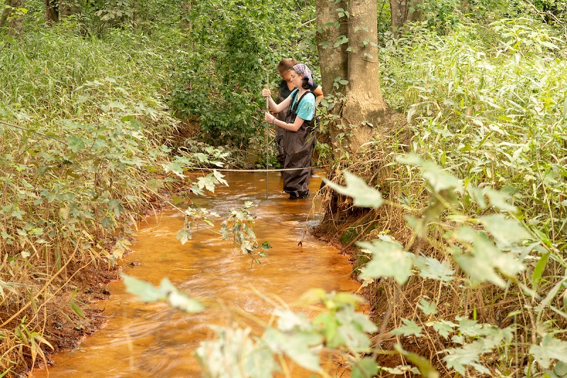 OHIO students perform water quality testing while standing in a stream