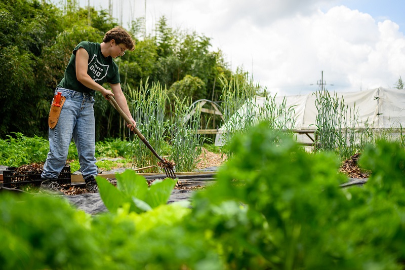 An OHIO student uses a pitchfork to work on the Ohio University Student Farm