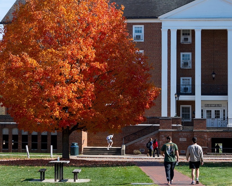 OHIO students walk on the South Green near a colorful tree on a Fall day