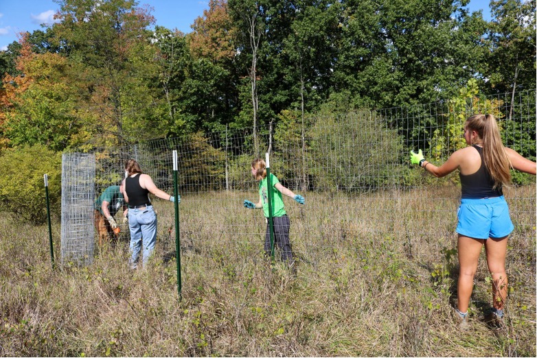 Students work together to spread fencing in a grassy field