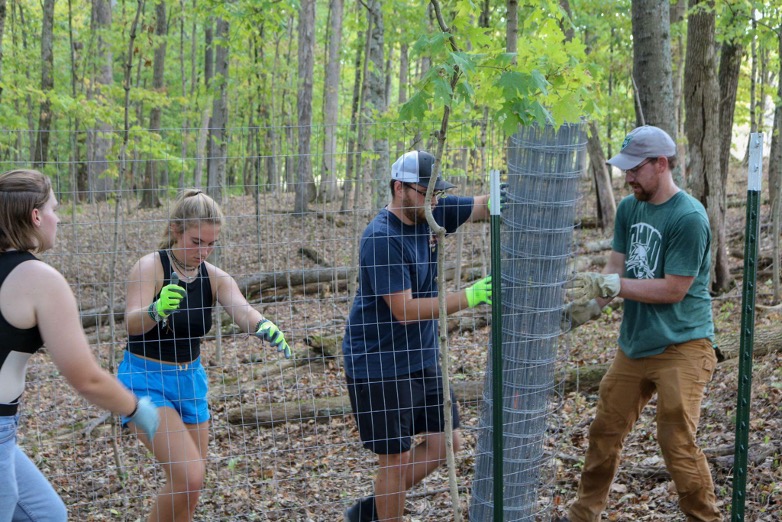 Students put up a fence in a forest