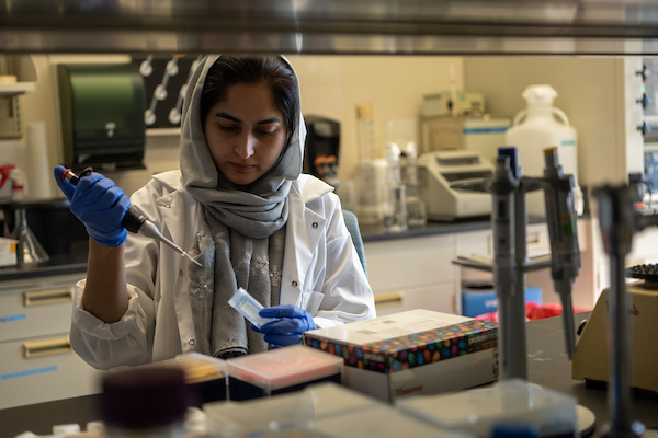 A student conducts research through a microscope in a medical facility. 