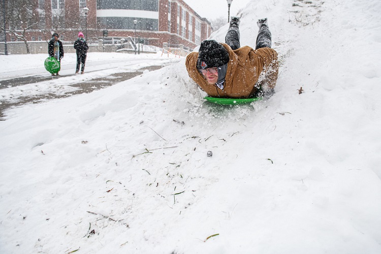 An individual sled on a hill near Gordy Hall