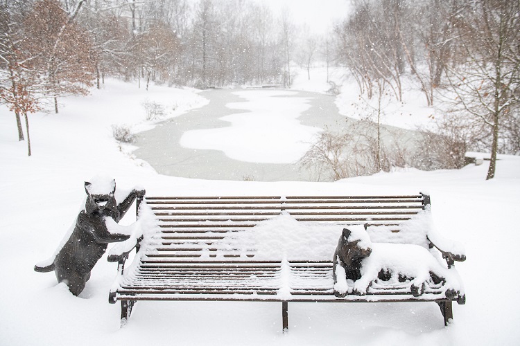 The Bobcat sculptures and bench near Baker University Center are shown covered in snow