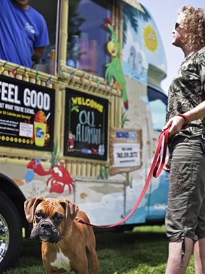 Dog pictured at On The Green Weekend Food Truck Festival