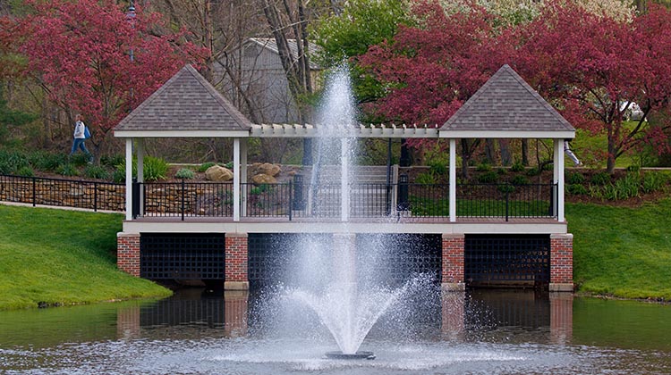 Emeriti Park in springtime